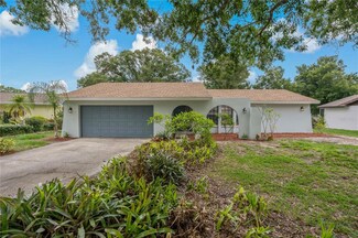 2859 Oak Tree Ln, Palm Harbor, FL 34684