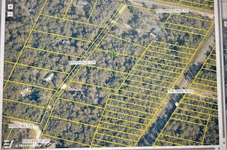 0 Knoxville Dr, Ridge Manor Estates, FL 33597