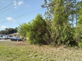 4877 Leonard Blvd S, Lehigh Acres, FL 33973
