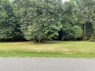 2302 E Blue Lake Dr, Magnolia, TX 77354