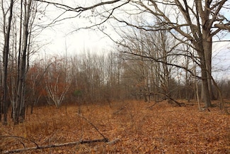 0 (S) Lyons Lake Road Lot Unit WP001, Nassau, NY 12123