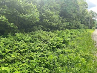 88A Sylvan Ridge Rd, Winhall, VT 05340