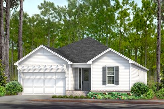 209 Suwannee Dr Unit Lot 19, Watersound, FL 32461