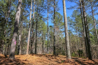 0 Asbury Rd Unit SPN323717, Pacolet, SC 29372