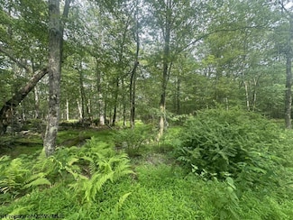 88 Goldenrod Dr, Terra Alta, WV 26764