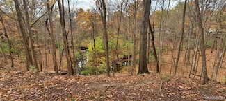 0000 Inkster Rd, Farmington Hills, MI 48334