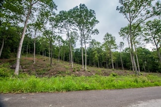 0 River View Ct Unit 140582, West Portsmouth, OH 45663