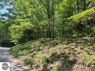 17 Loggers Run Subdivision, Glen Arbor, MI 49636