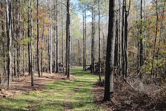 0 Mississippi 35, West, MS 39192