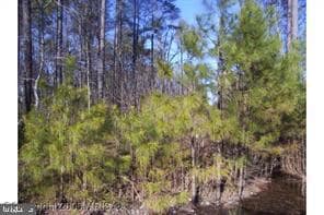 0 Lot #8 -14th Street Estates St Unit VAWE2009946, Colonial Beach, VA 22443