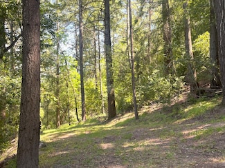19179 Skyline Blvd, Los Gatos, CA 95033