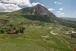 565 Saddle Ridge Ranch Rd, Crested Butte, CO 81224