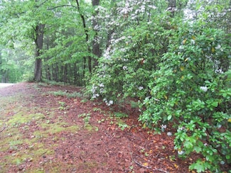 0 Spring Crest Rd Unit 7571252, Cleveland, GA 30528