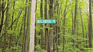 322-328 Beechwood Dr, Lyon Township, MI 48653