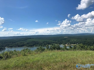 Lot 70 County Road 767 Unit 70, Cedar Bluff, AL 35959