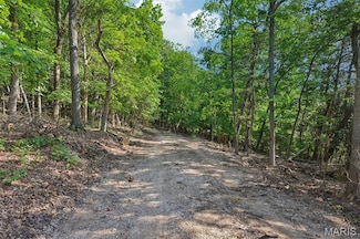 6300 Franks Rd, Byrnes Mill, MO 63051