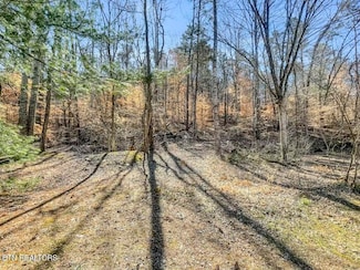 0 K D Ln Unit 1292161, Maynardville, TN 37807