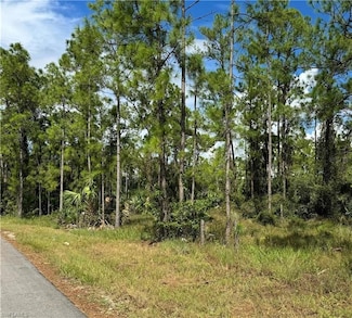 2124 Jackson Ave, Alva, FL 33920