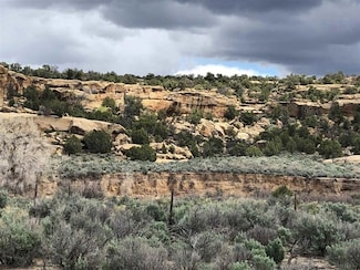 TBD Hwy 539 64, Navajo Dam, NM 87412