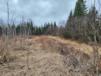 29XX Lavis Rd, Lakewood Township, MN 55804