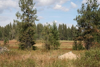 00 Little Sweden Rd Unit Lot D, Valley, WA 99181