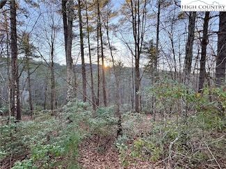 Tbd Roaring Ridge Rd, Deep Gap, NC 28618