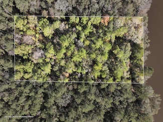 1.0, Mc Lain, MS 39456