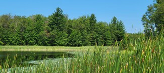 00 S Forman Rd, Baldwin, MI 49304