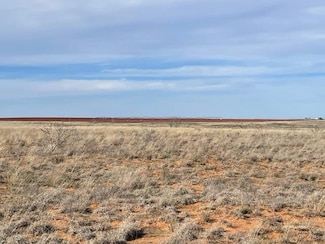 0 County Road 341 Unit 202413488, Seminole, TX 79360