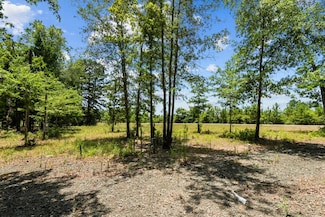0 Henry Dr Unit 4211056, Hemphill, TX 75948