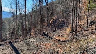 L15 Gorge Rd, Middleburgh, NY 12122