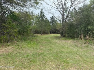 0 Beartown Rd, Jayess, MS 39641
