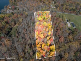 222 Sawyer Hollow Rd, Summit, NY 12175