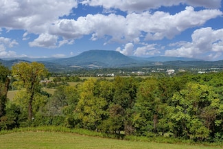 Lot 11 Riders Ridge Trail, Buena Vista, VA 24416