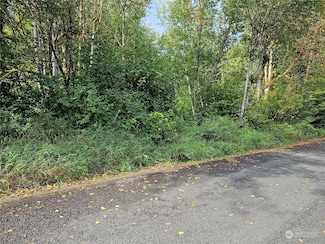 0 Valley View Dr, Mossyrock, WA 98564