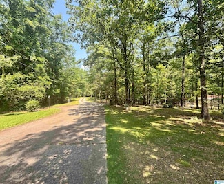 2910 Chelsea Rd, Columbiana, AL 35051