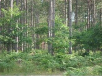 Lot 7 Hughitt Lake Rd, Rhinelander, WI 54529