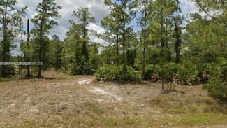 2321 Mcarthur Ave, Alva, FL 33920