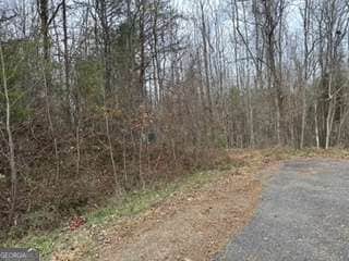 0 Overlook Trail Unit 39 10429875, Hiawassee, GA 30546