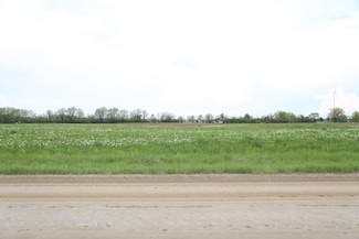1000 E Beal City Rd, Rosebush, MI 48878