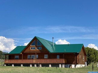 26 Lobo Ln, Reserve, NM 87830