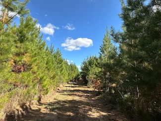 0 Highway 231, Pine Level, AL 36065