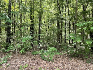 0 Long Mountain Rd, McMinnville, TN 37110