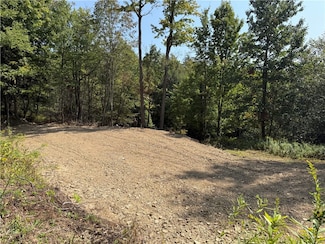 0 Alma Hill Rd Unit R1637531, Alma, NY 14895