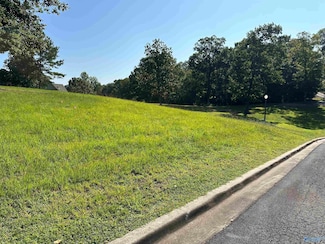 Lot 16 County Road 1027, Valley Head, AL 35989