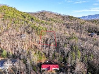 Tbd Black Oak Dr, Sevierville, TN 37876