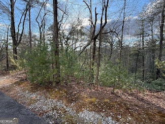 LOT 103 Lancelot Loop, Clayton, GA 30525