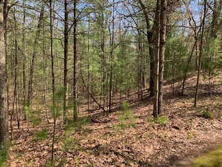 0 Lenox Ave, Summit Township, MI 49449