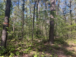 0 Oakland Rd Unit 1305490, Saint Joe, AR 72675