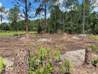 2101 W Frostproof Rd, Frostproof, FL 33843